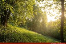 Działka budowlana Konradów. Zdjęcie 2