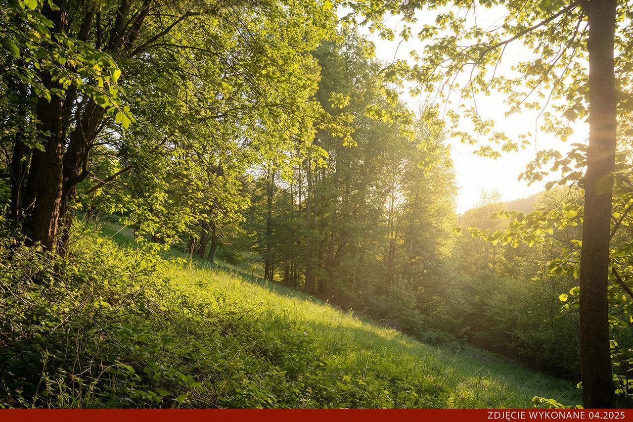 Działka budowlana Konradów. Zdjęcie 8