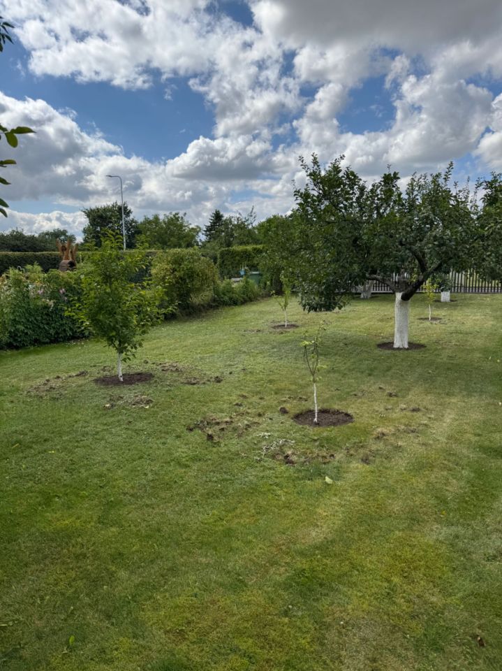 Działka rod Chełmża. Zdjęcie 5