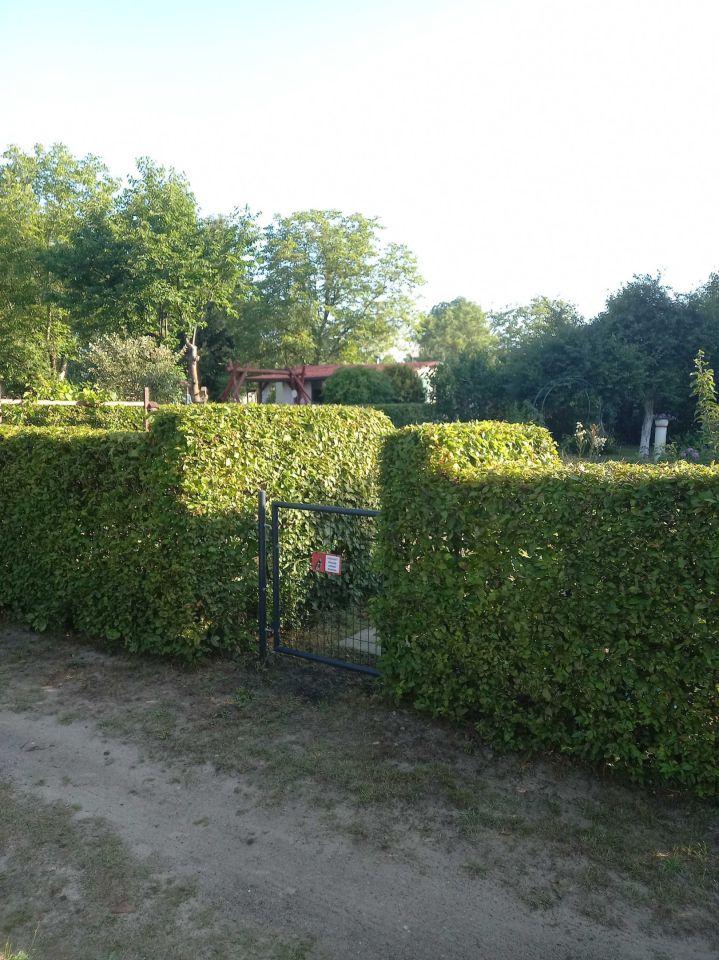 Działka rod Świdnica. Zdjęcie 6