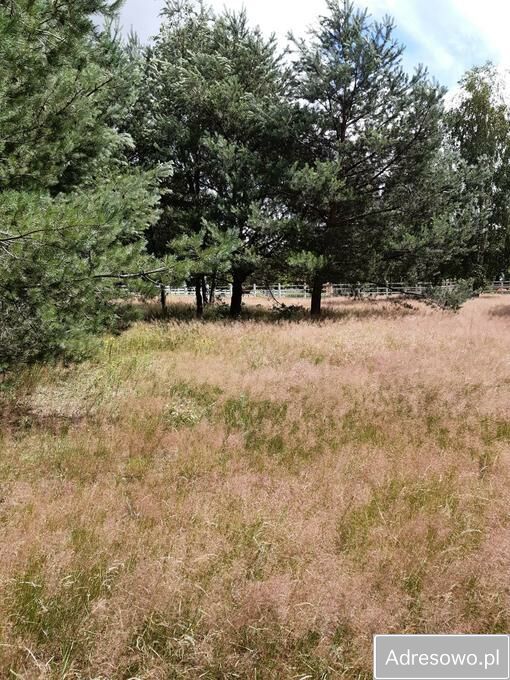 Działka inwestycyjna Ustka. Zdjęcie 7