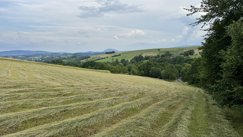 gospodarstwo Brzana. Zdjęcie 7