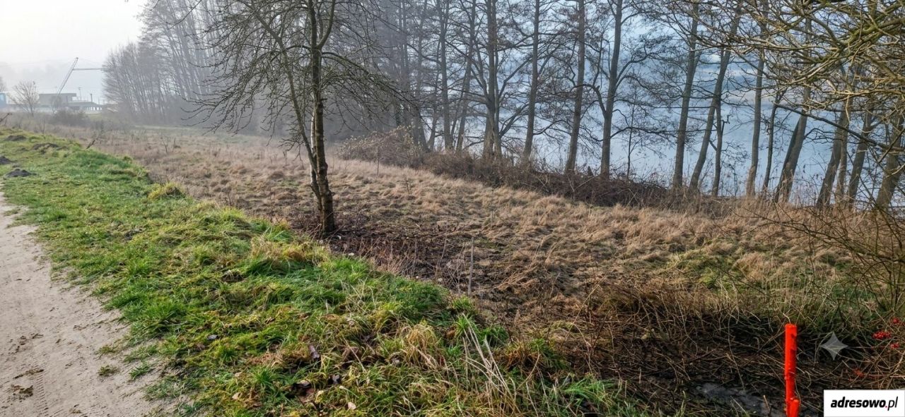 Działka rolna Margonin. Zdjęcie 5