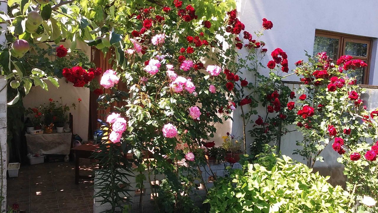 Działka rod Wejherowo, ul. Nadrzeczna. Zdjęcie 3