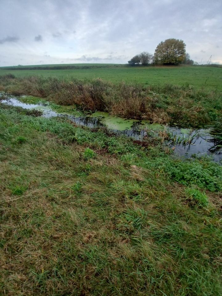 Działka inwestycyjna Żelice. Zdjęcie 2