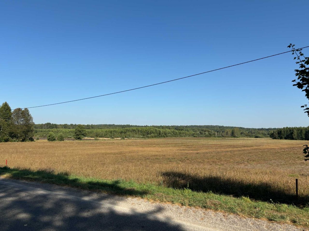 Działka budowlana Lewiczyn. Zdjęcie 4