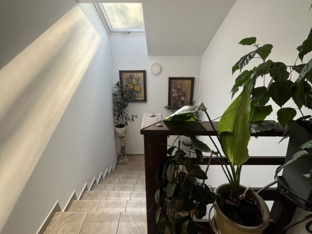 dom wolnostojący, 4 pokoje Dziektarzew. Zdjęcie 14