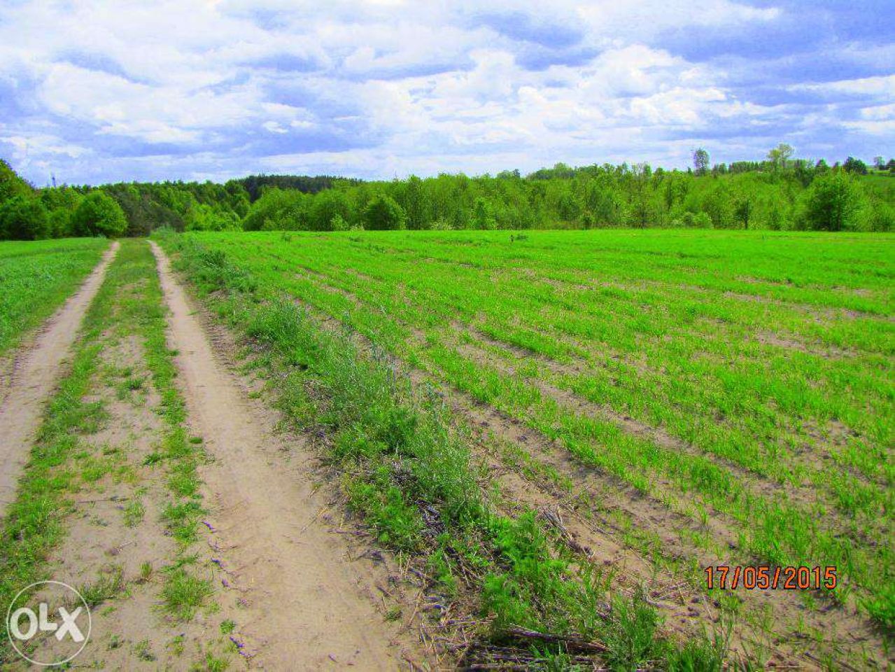 Działka budowlana Psary. Zdjęcie 2