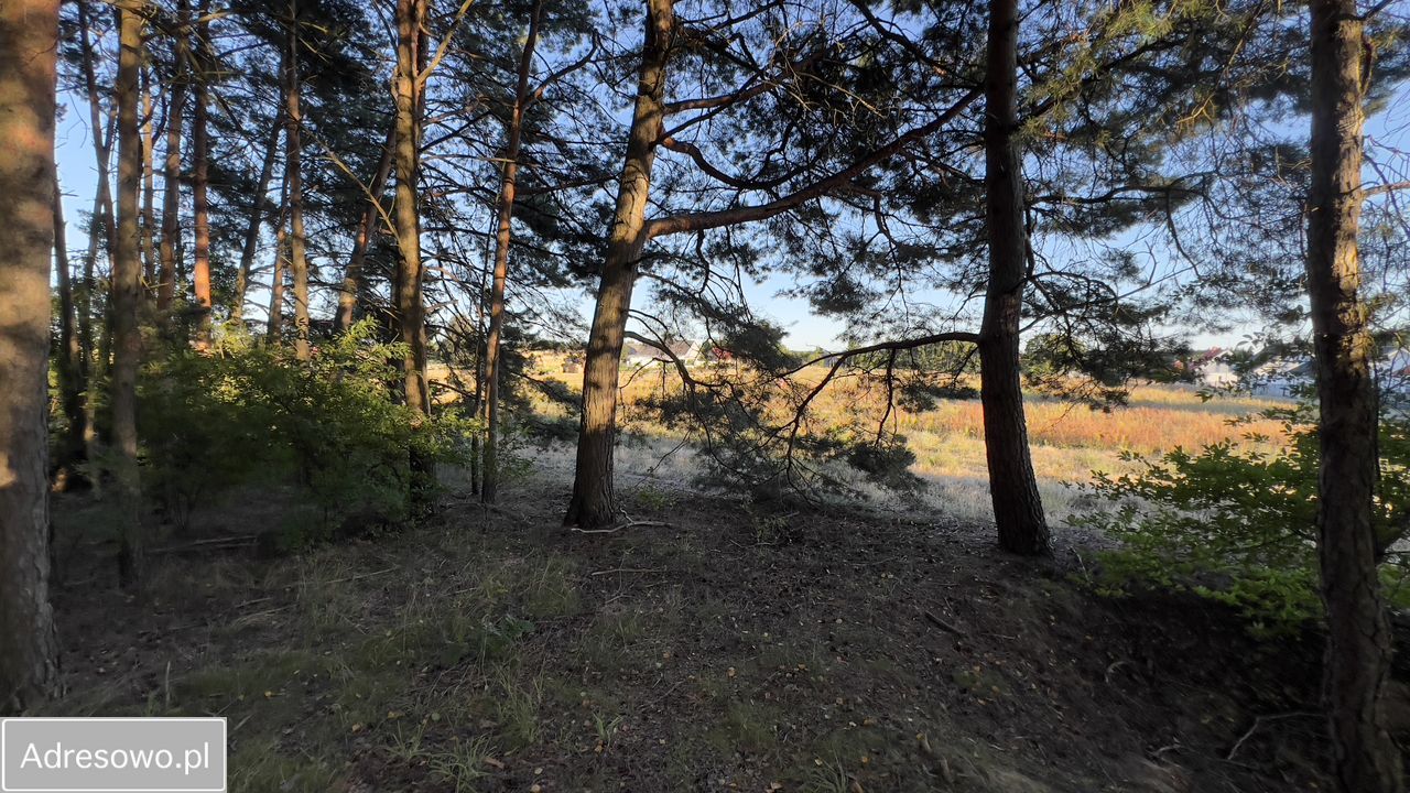 Działka rolno-budowlana Cekcyn Cekcynek. Zdjęcie 12