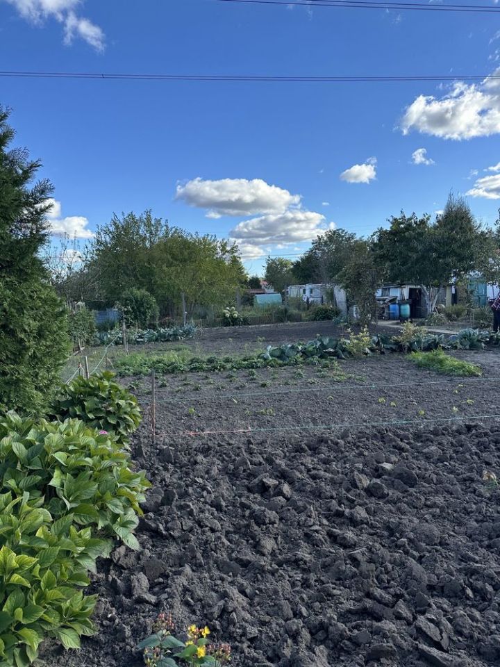 Działka rod Gdańsk Olszynka, ul. Zawodzie. Zdjęcie 3