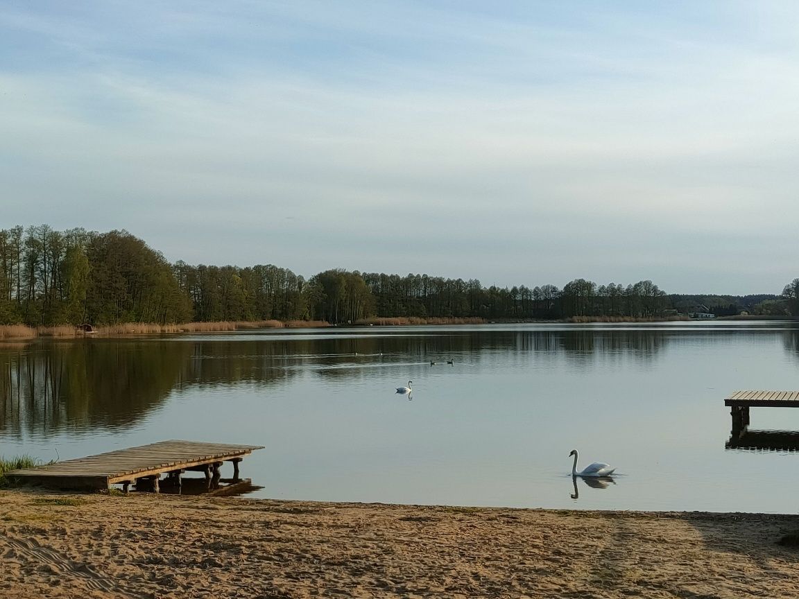 Działka rekreacyjna Ołobok. Zdjęcie 2