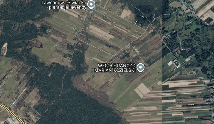 dom wolnostojący, 3 pokoje Dobrzyniec, ul. Kaktusowa
