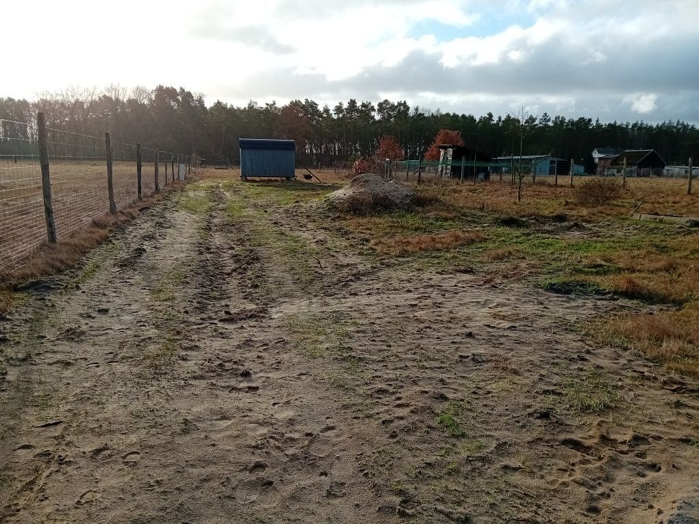 Działka rolno-budowlana Niekłończyca. Zdjęcie 3