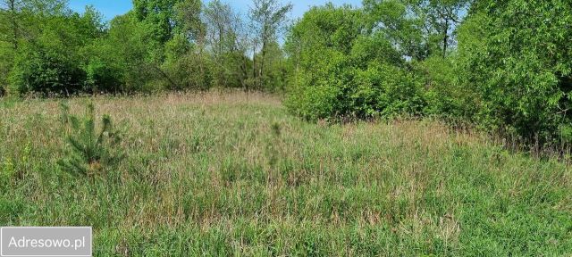 Działka rolna Wólka Biska. Zdjęcie 1