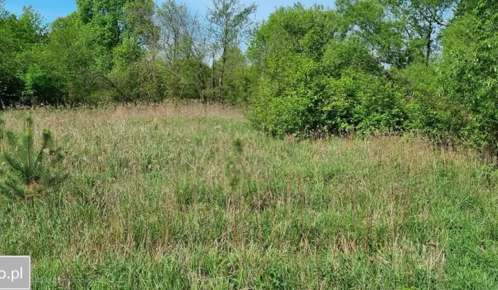 Działka rolna Wólka Biska