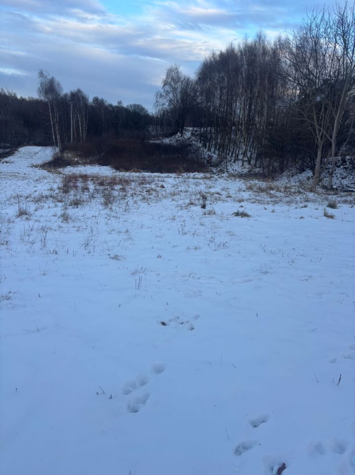 Działka budowlana Wodzisław Śląski Wilchwy. Zdjęcie 4