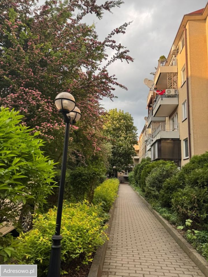 Mieszkanie 2-pokojowe Siedlce Centrum, ul. 10 Lutego. Zdjęcie 2