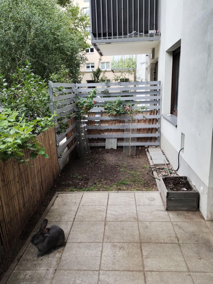 Mieszkanie 2-pokojowe Poznań Wilda, ul. Rolna. Zdjęcie 10