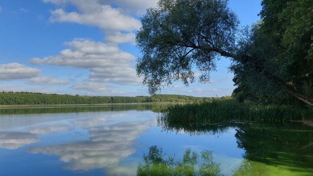 Działka rekreacyjna Wierzchowo, ul. 3 Marca. Zdjęcie 1