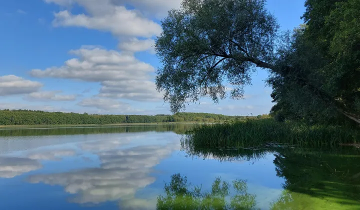 Działka rekreacyjna Wierzchowo, ul. 3 Marca