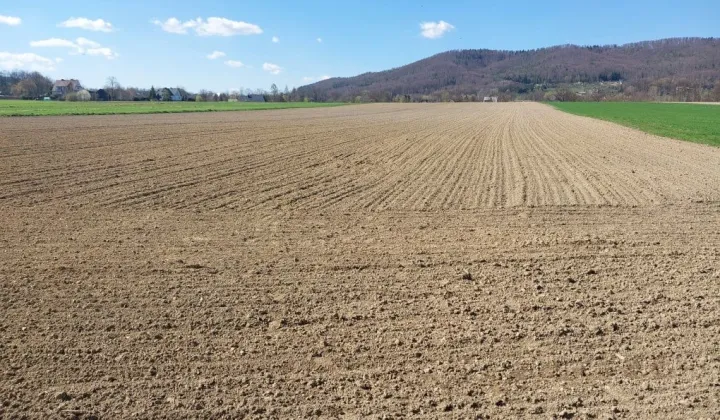 Działka rolna Wiśniowa