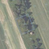 Działka rolna Oliszki. Zdjęcie 2