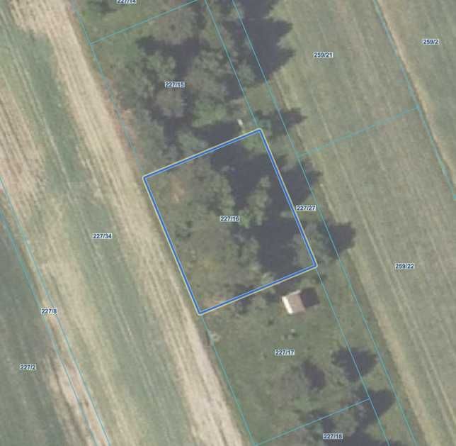 Działka rolna Oliszki. Zdjęcie 3