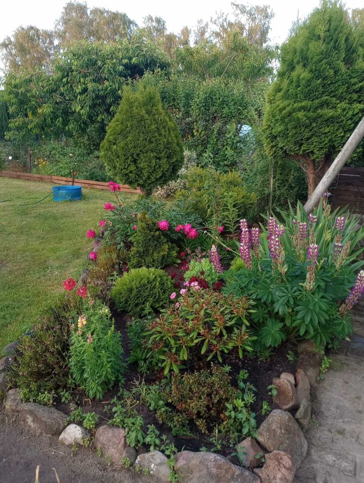 Działka rod Gorzów Wielkopolski. Zdjęcie 7