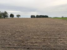 Działka rolna Tarnowa. Zdjęcie 3
