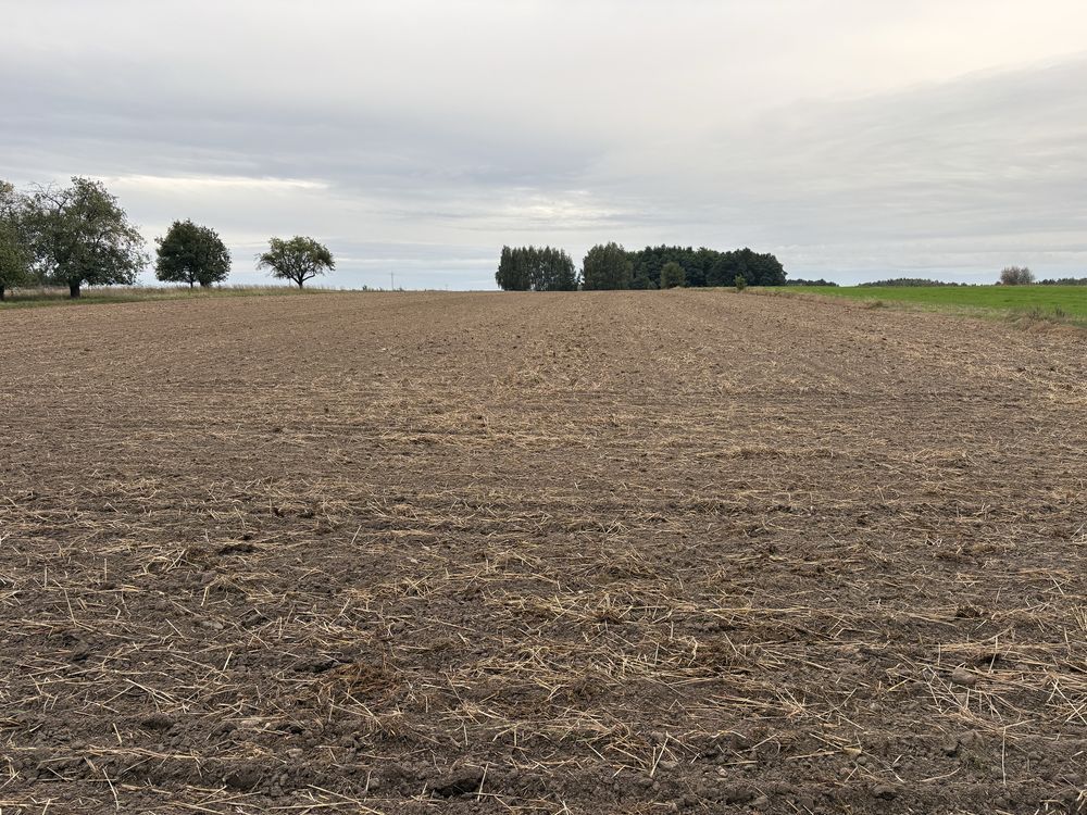 Działka rolna Tarnowa. Zdjęcie 4