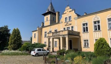 dworek, 20 pokoi Koźmin Wielkopolski, ul. Lipowa