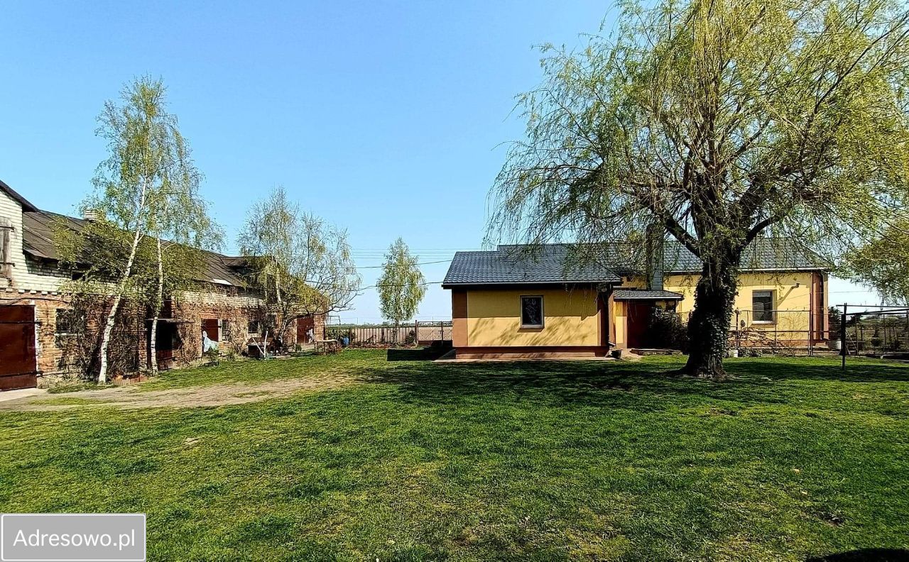 gospodarstwo, 3 pokoje Ernestynów Kujawki. Zdjęcie 19