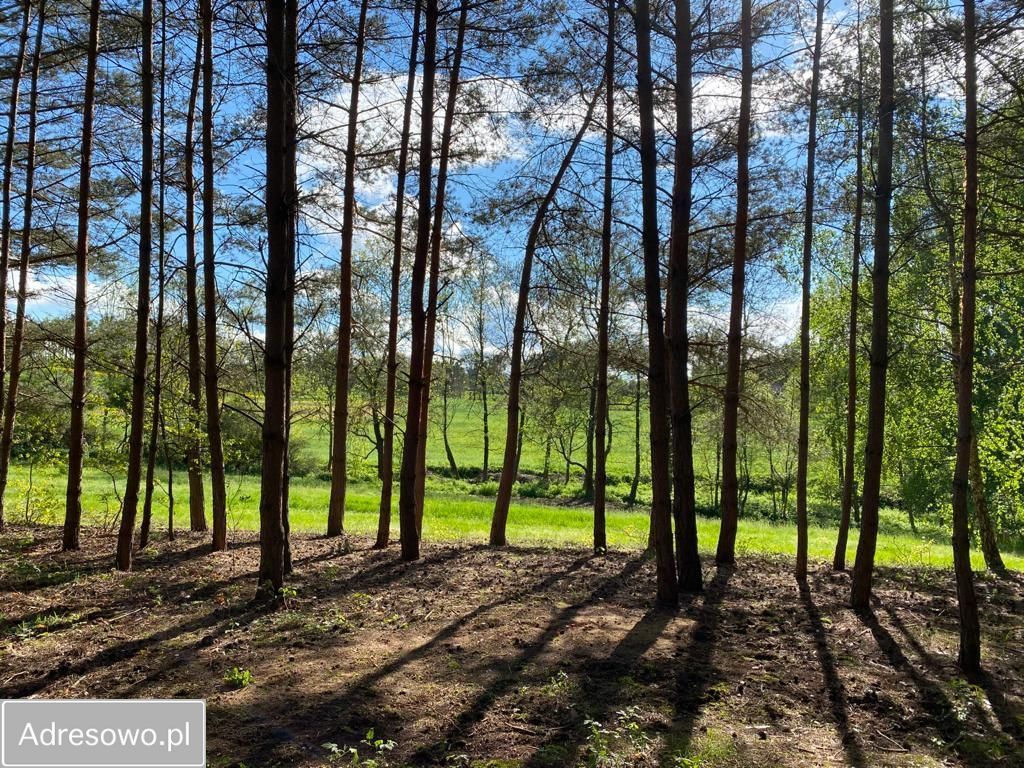 Działka budowlana Chrzypsko Małe. Zdjęcie 2
