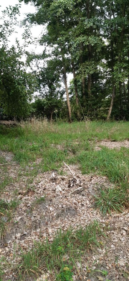 Działka rolna Panaszew. Zdjęcie 9