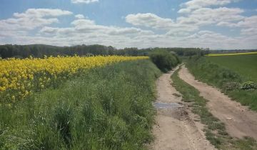 Działka rolna Osiek, Świerkowa