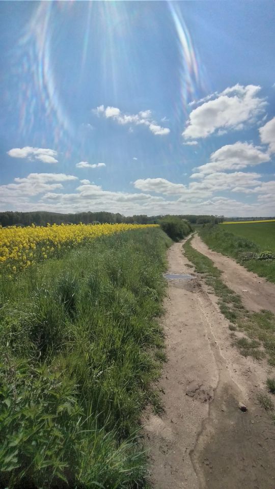 Działka rolna Osiek, ul. Świerkowa