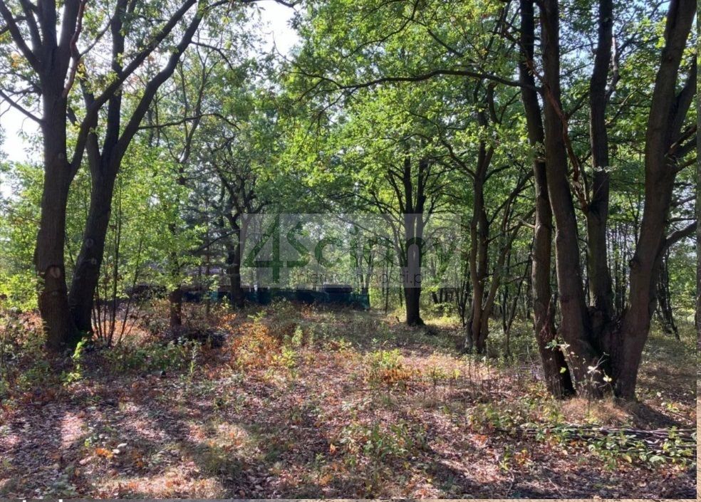 Działka budowlana Józefów. Zdjęcie 7