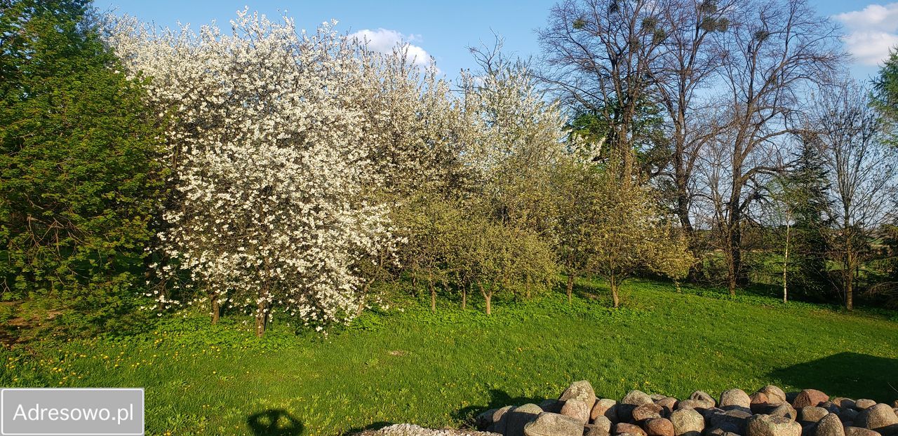 Hala/magazyn Nowy Dwór. Zdjęcie 9