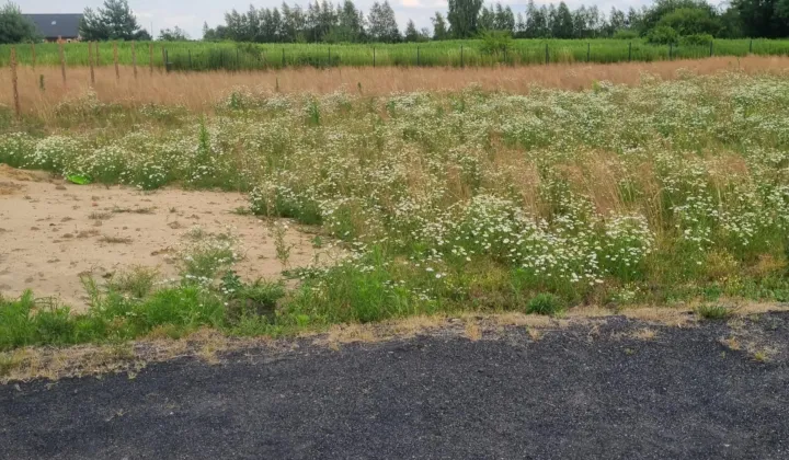 Działka budowlana Wilczyce, ul. Wrocławska