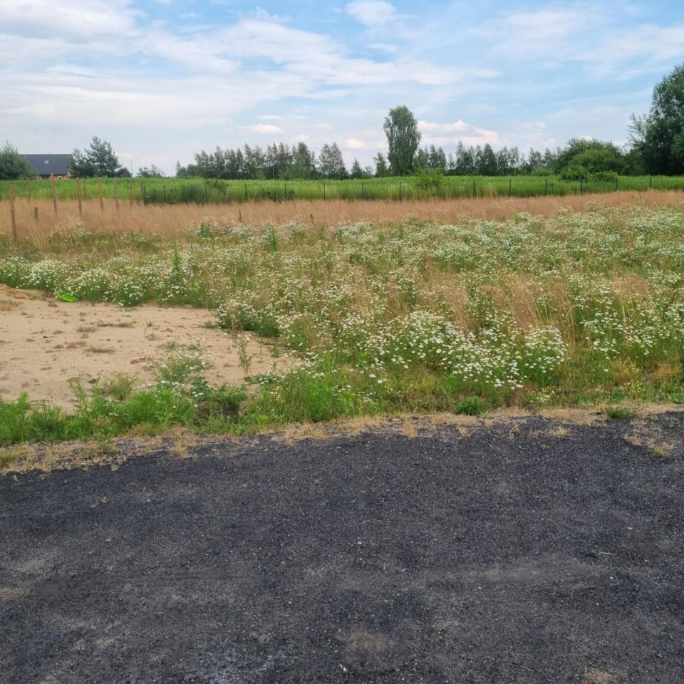 Działka budowlana Wilczyce, ul. Wrocławska