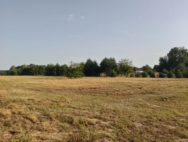 Działka budowlana Kępa Niemojewska. Zdjęcie 1