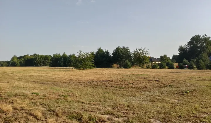 Działka budowlana Kępa Niemojewska