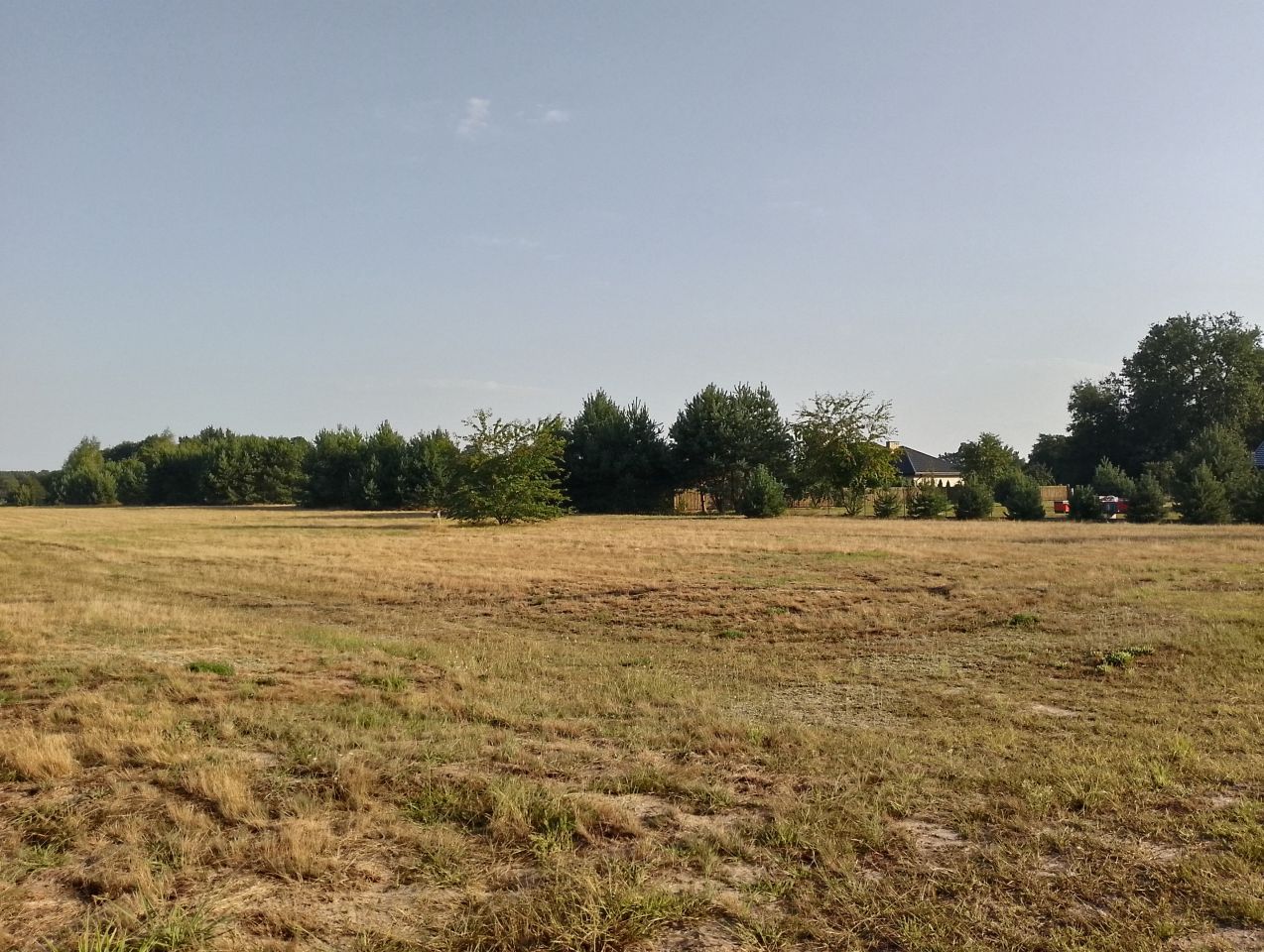 Działka budowlana Kępa Niemojewska. Zdjęcie 1