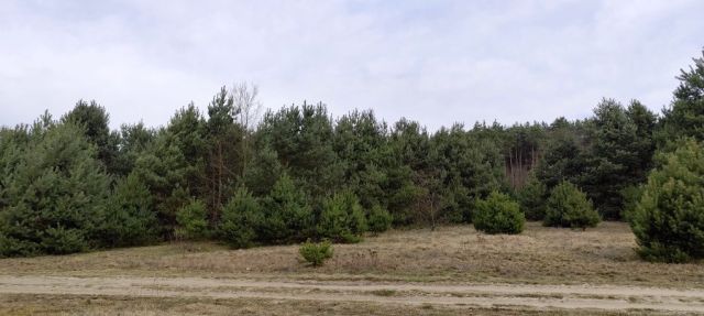 Działka budowlana Zielona Góra, ul. Ochla-Pustynna. Zdjęcie 1