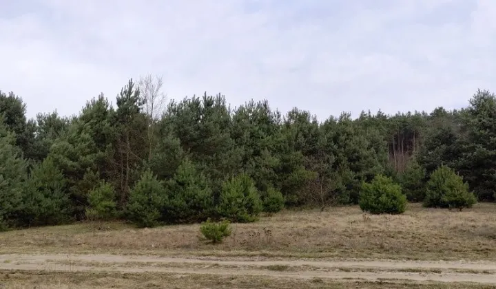 Działka budowlana Zielona Góra, ul. Ochla-Pustynna