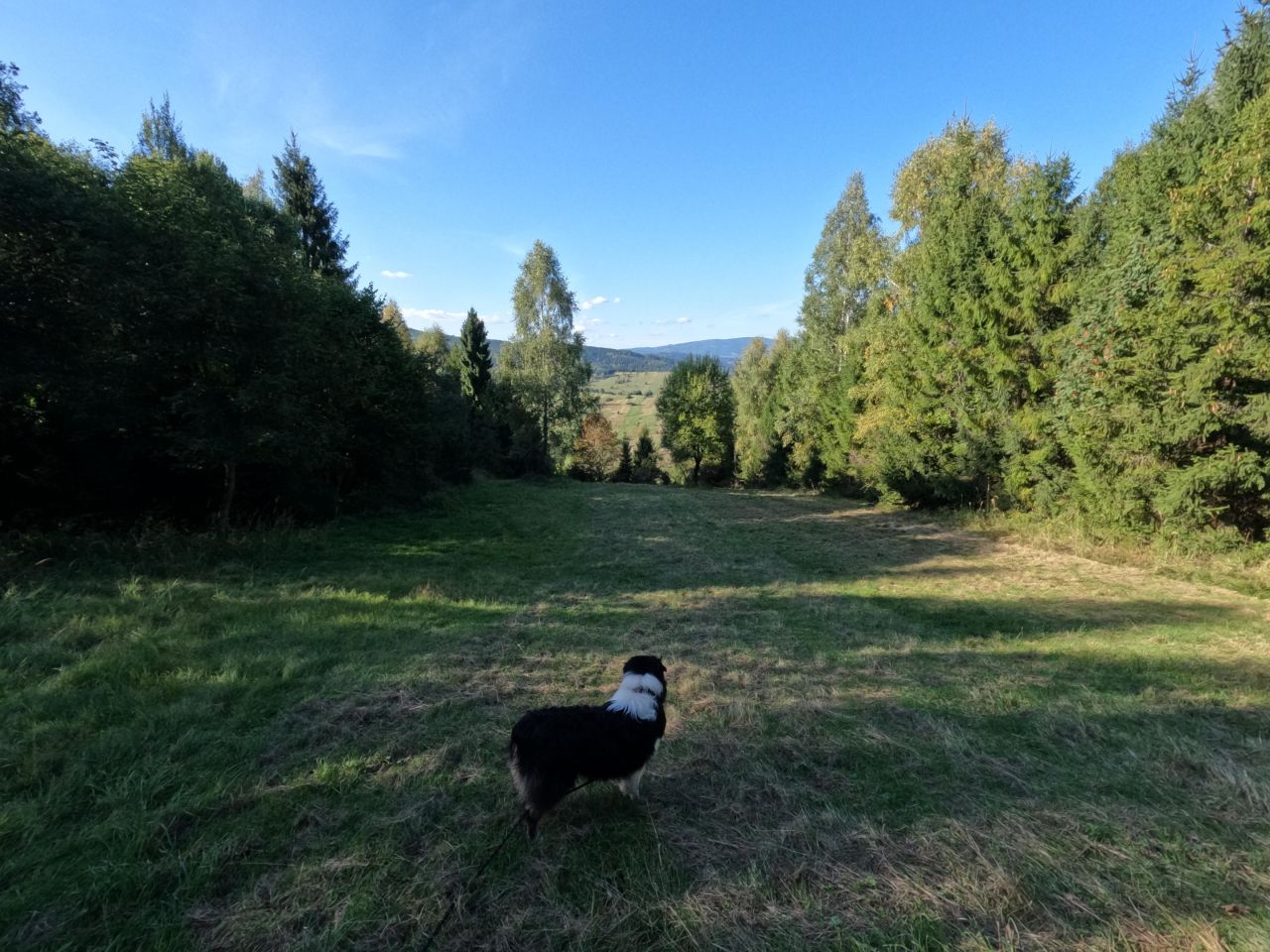 Działka rolna Sól Na Bugaju, Brak ulicy. Zdjęcie 5