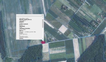 Działka budowlana Trawniki-Kolonia