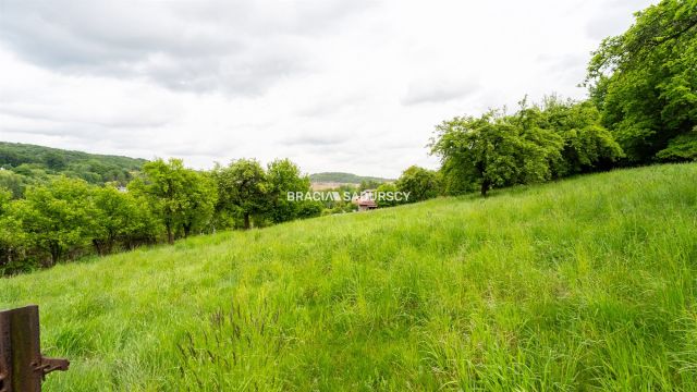 Działka inwestycyjna Czerna. Zdjęcie 15