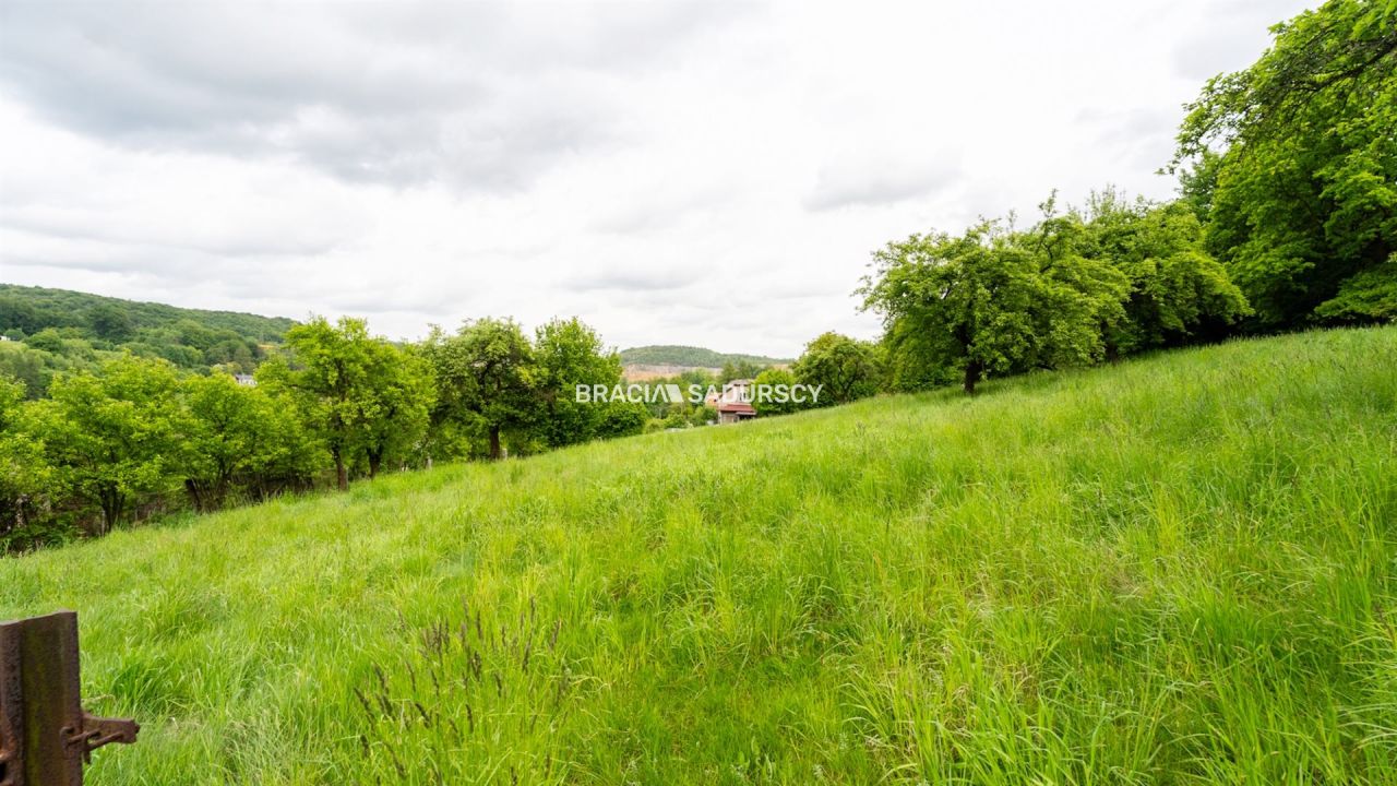 Działka inwestycyjna Czerna. Zdjęcie 15