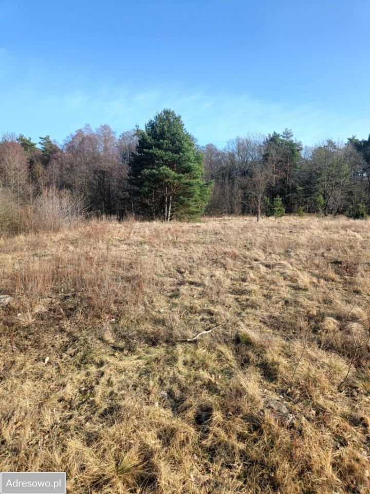 Działka rolno-budowlana Olszewnica Nowa, ul. Spacerowa. Zdjęcie 11